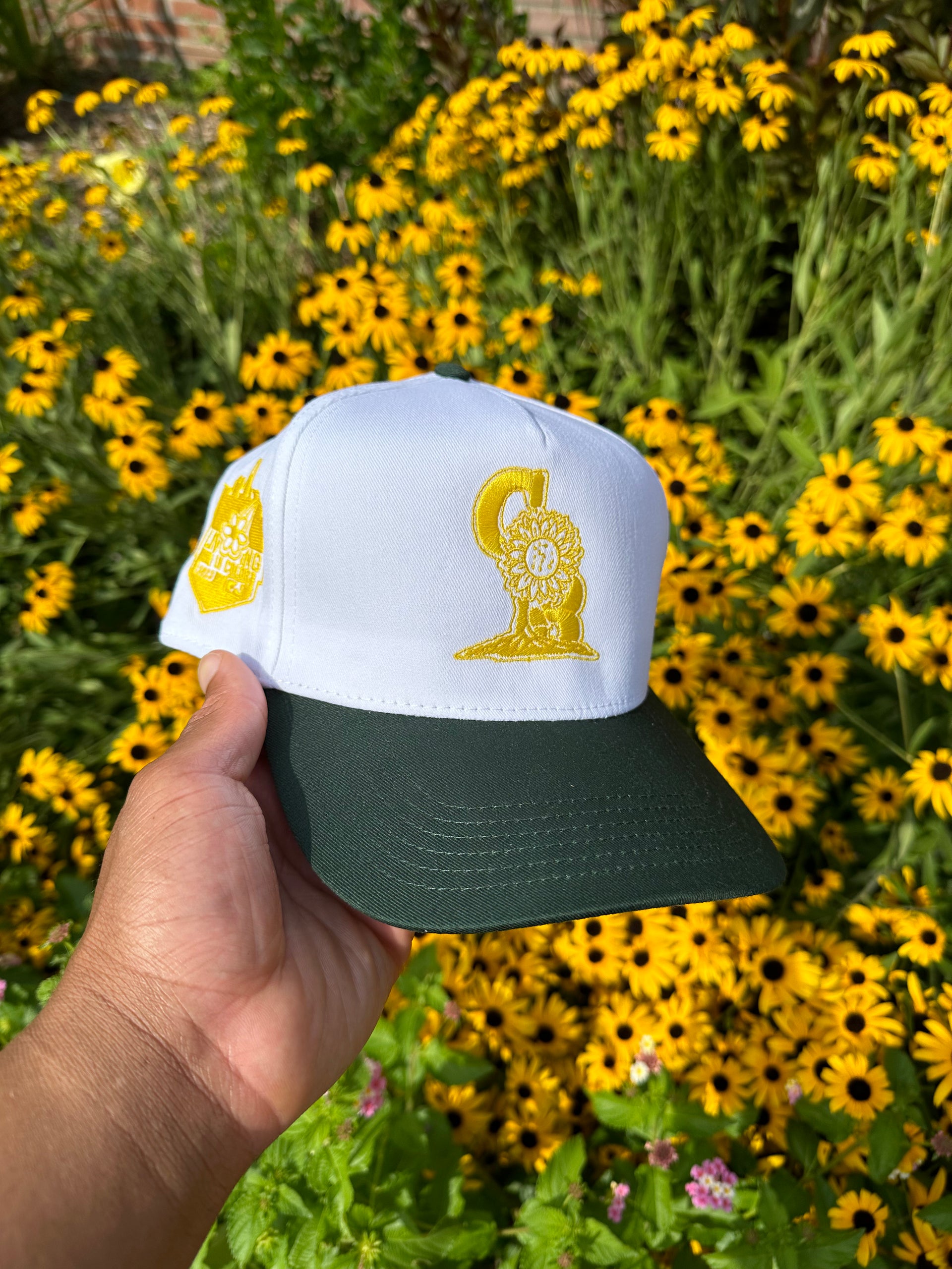 Success hat