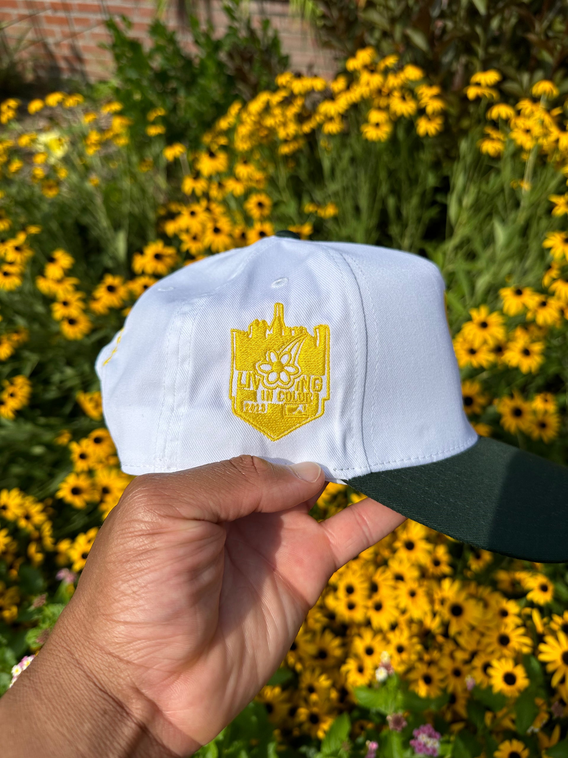 Success hat