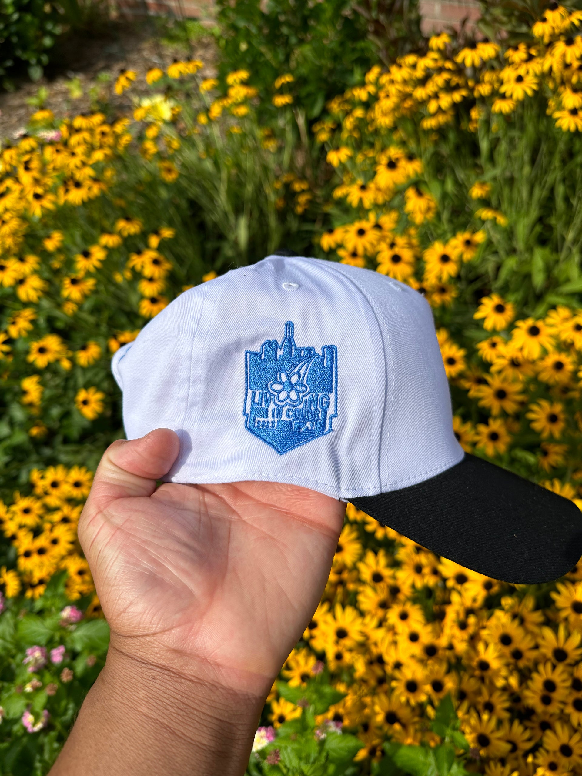 Success hat
